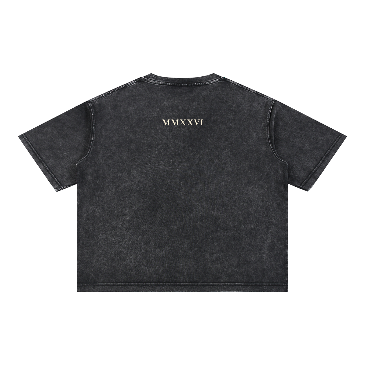 Envy Essential Mineral Wash Tee